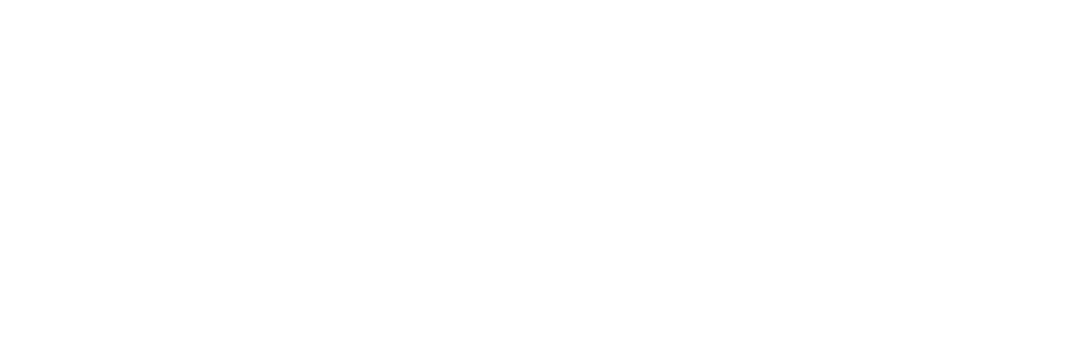 Domus-Logo-White